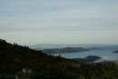 DSC_0005