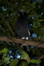 DSC_0047_1