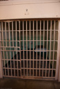 Alcatraz cell