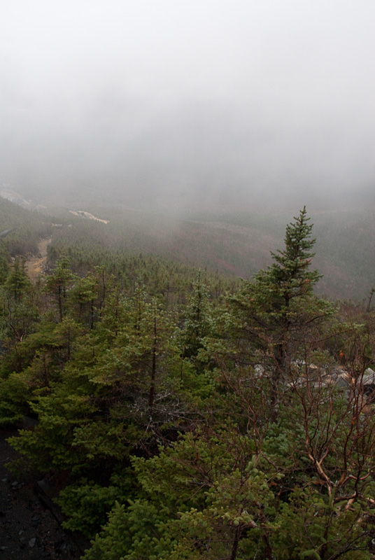 Mt. Washington