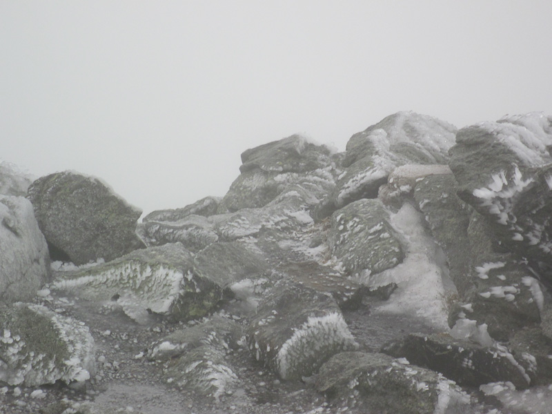 Mt. Washington