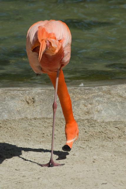 DSC_0023