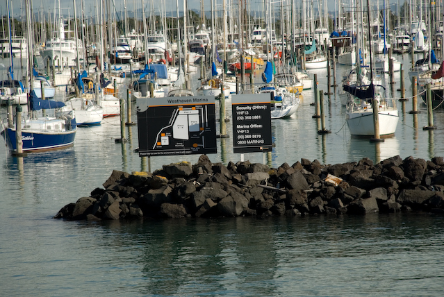 DSC_0041