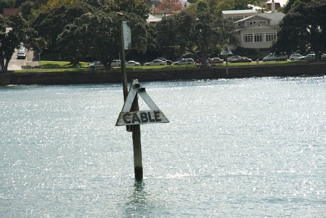 DSC_0105