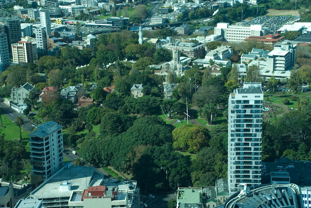 DSC_0126