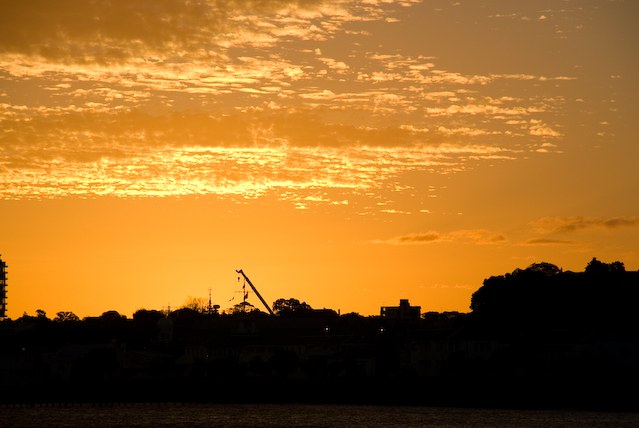 DSC_0138