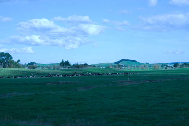 DSC_0123_1