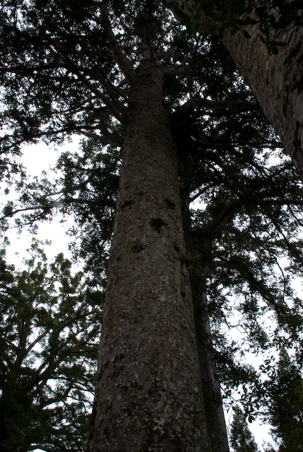 DSC_0131