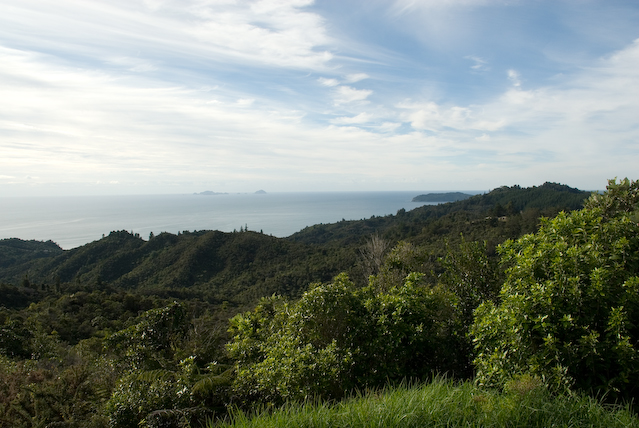 DSC_0011