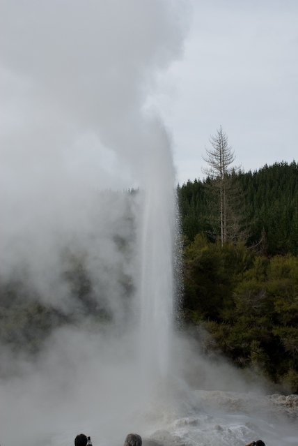 DSC_0006