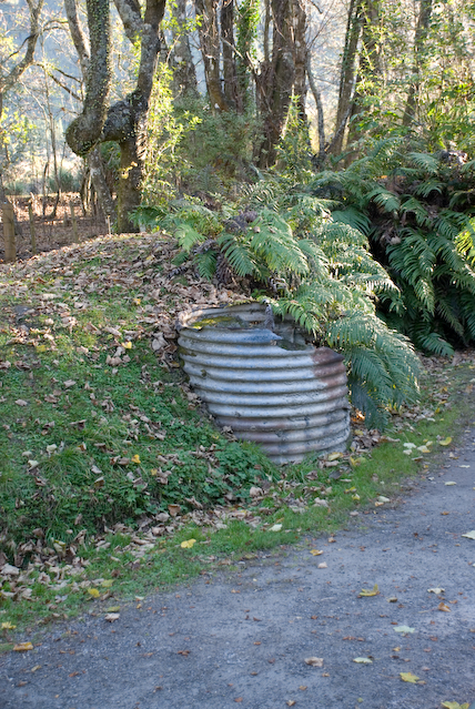 DSC_0031_1