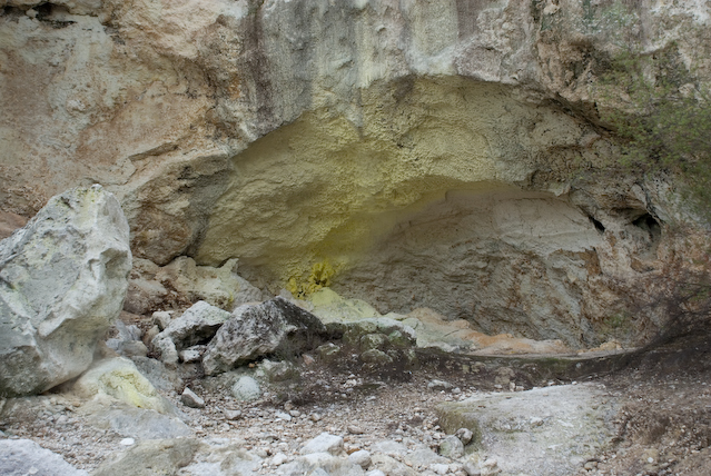 DSC_0064