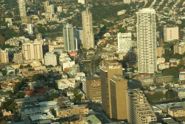DSC_0239