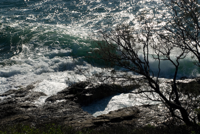 DSC_0017