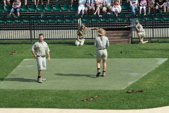 DSC_0011