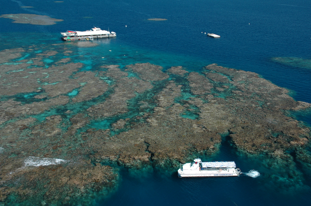 marine_world_moore_reef_